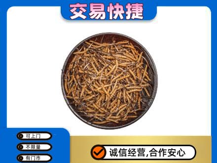 亳州高价回收散虫草