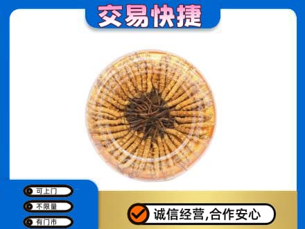 亳州高价回收虫草礼盒